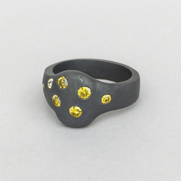 Seeing Spots - Bronze/silver & sapphire ring