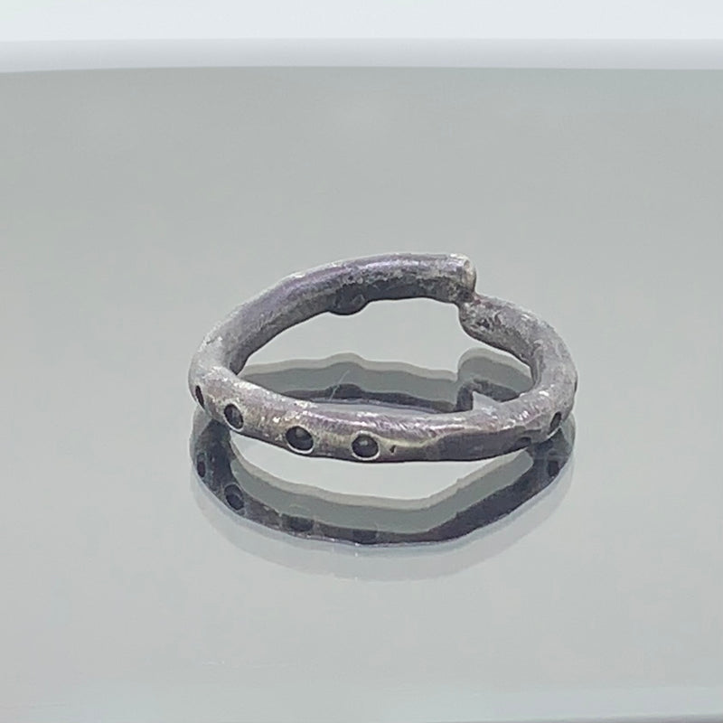 Evolve - Sterling silver ring
